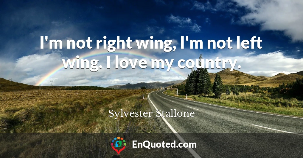I'm not right wing, I'm not left wing. I love my country.