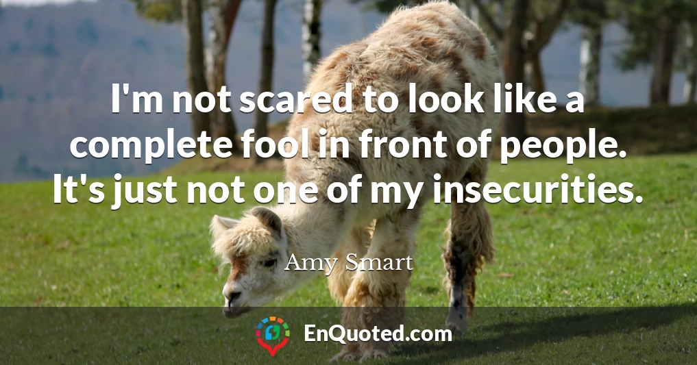 I'm not scared to look like a complete fool in front of people. It's just not one of my insecurities.