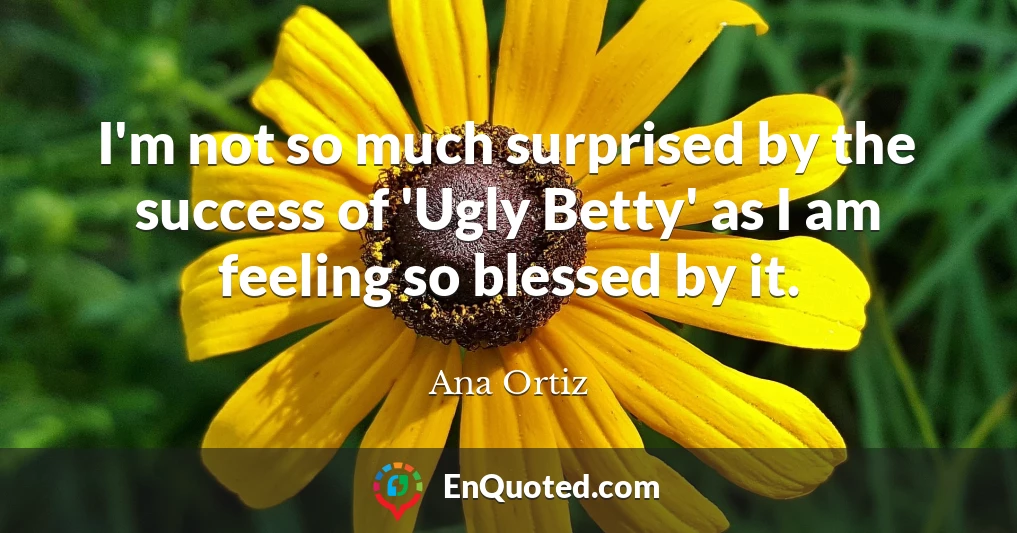 I'm not so much surprised by the success of 'Ugly Betty' as I am feeling so blessed by it.