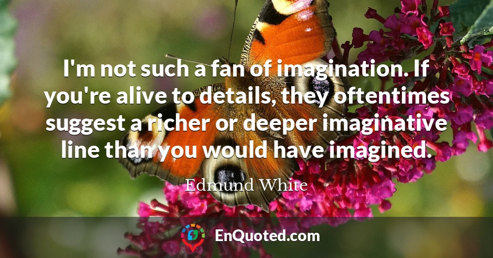 I'm not such a fan of imagination. If you're alive to details, they oftentimes suggest a richer or deeper imaginative line than you would have imagined.