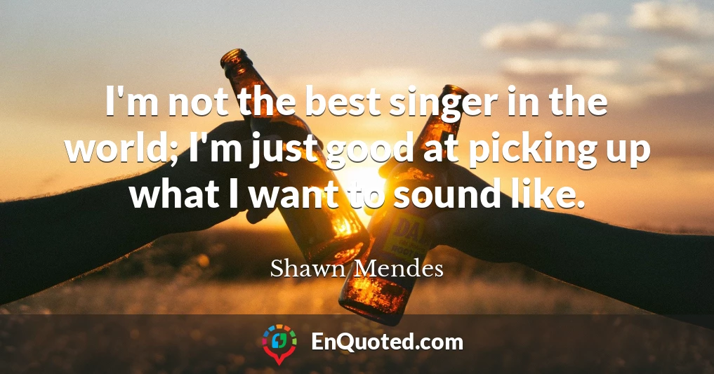 I'm not the best singer in the world; I'm just good at picking up what I want to sound like.