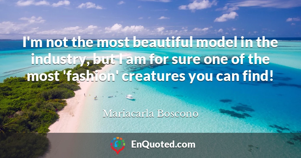 I'm not the most beautiful model in the industry, but I am for sure one of the most 'fashion' creatures you can find!