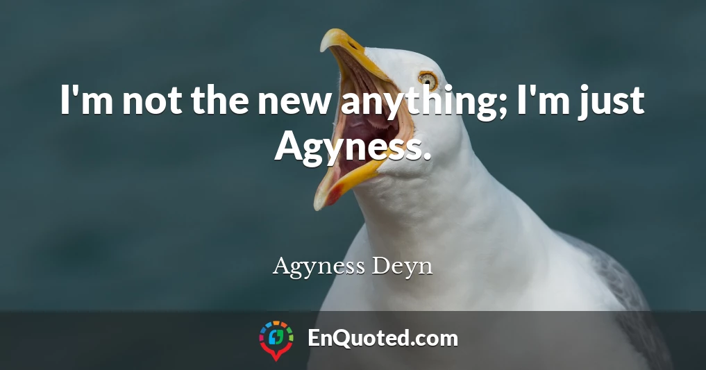 I'm not the new anything; I'm just Agyness.