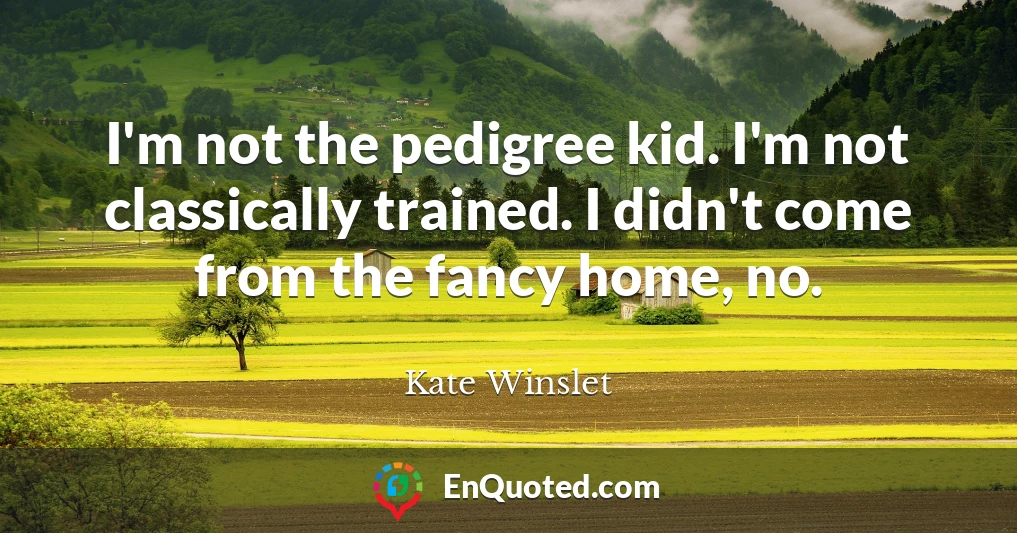 I'm not the pedigree kid. I'm not classically trained. I didn't come from the fancy home, no.