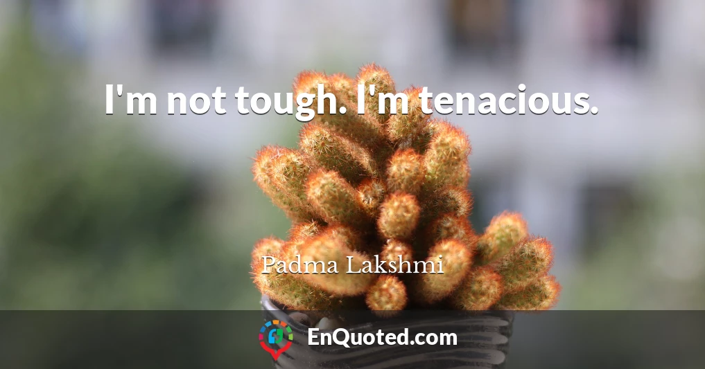I'm not tough. I'm tenacious.