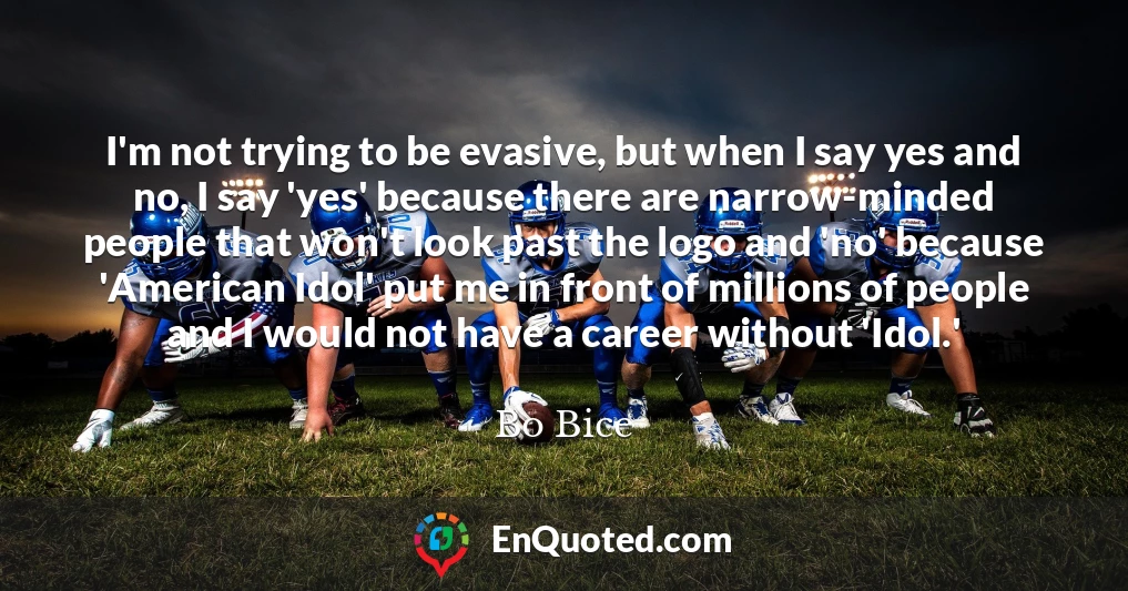 I'm not trying to be evasive, but when I say yes and no, I say 'yes' because there are narrow-minded people that won't look past the logo and 'no' because 'American Idol' put me in front of millions of people and I would not have a career without 'Idol.'