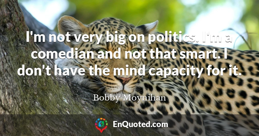 I'm not very big on politics. I'm a comedian and not that smart. I don't have the mind capacity for it.