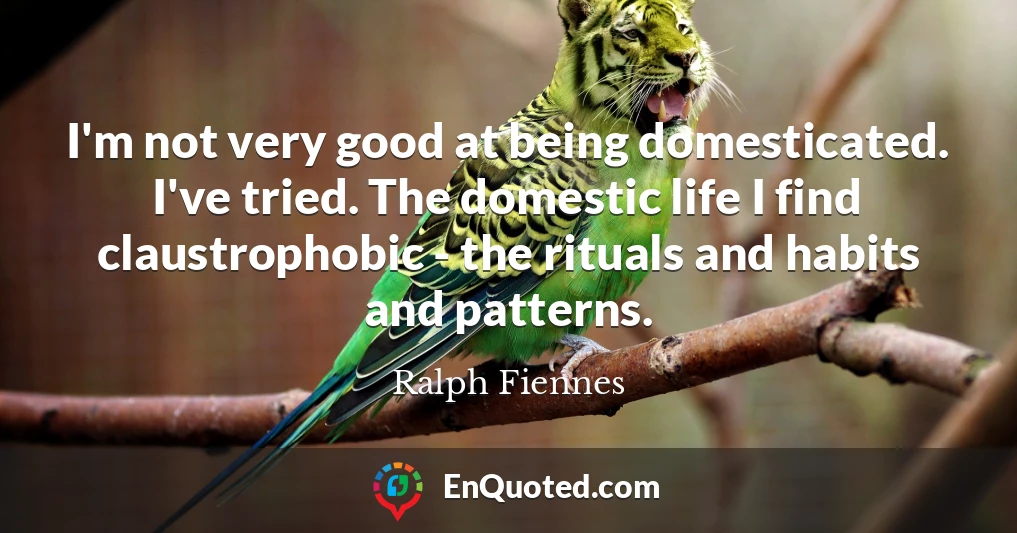 I'm not very good at being domesticated. I've tried. The domestic life I find claustrophobic - the rituals and habits and patterns.