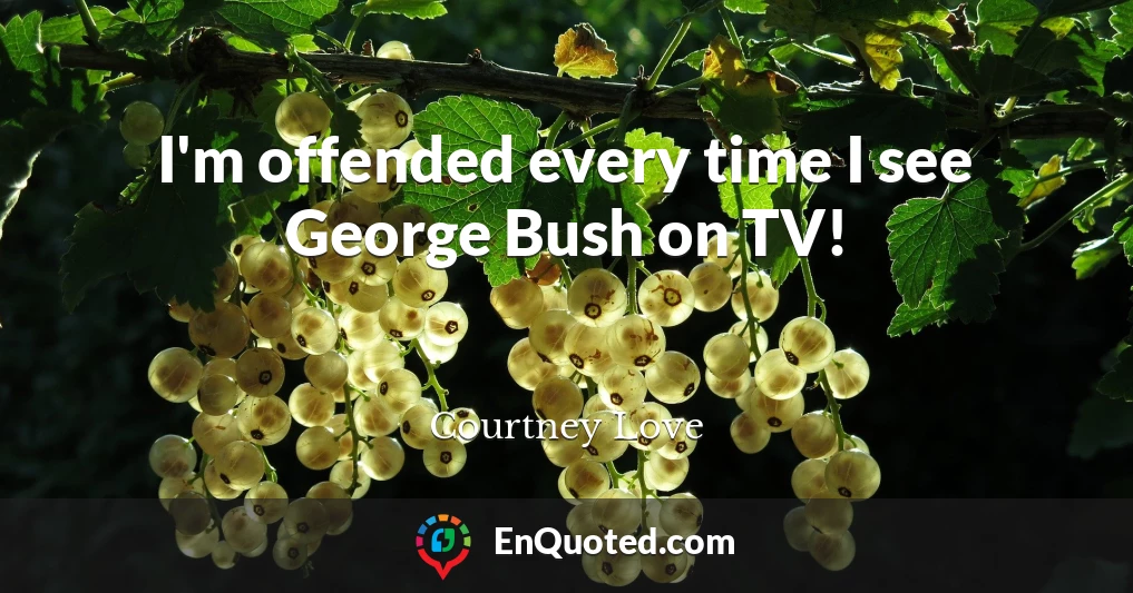 I'm offended every time I see George Bush on TV!