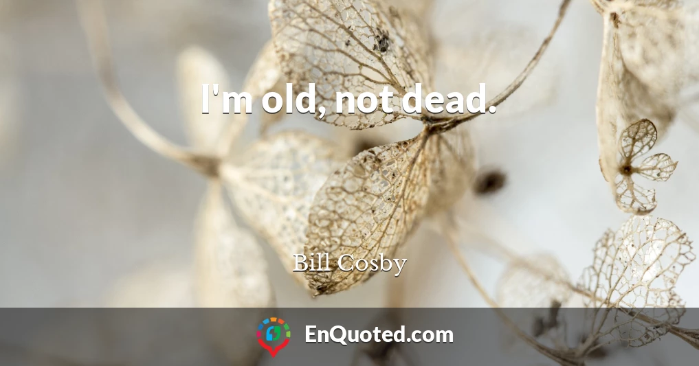 I'm old, not dead.