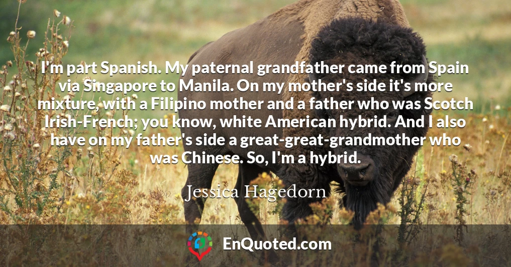 I'm part Spanish. My paternal grandfather came from Spain via Singapore to Manila. On my mother's side it's more mixture, with a Filipino mother and a father who was Scotch Irish-French; you know, white American hybrid. And I also have on my father's side a great-great-grandmother who was Chinese. So, I'm a hybrid.