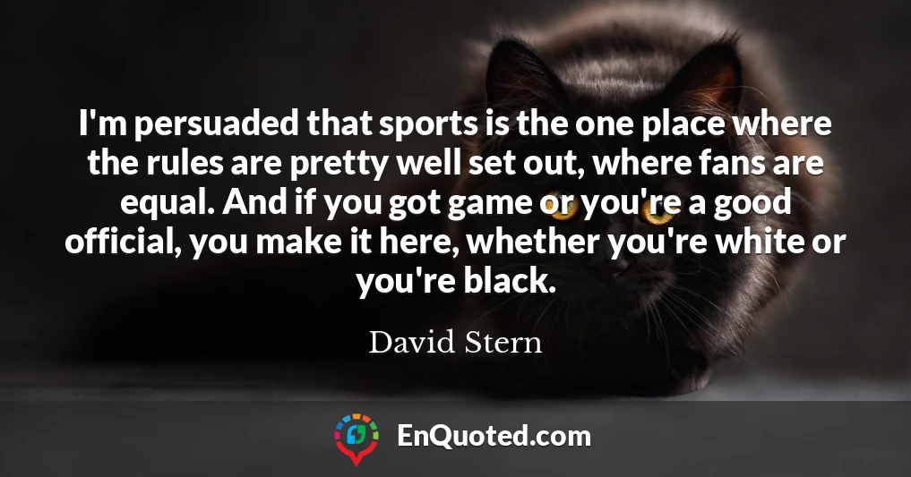 I'm persuaded that sports is the one place where the rules are pretty well set out, where fans are equal. And if you got game or you're a good official, you make it here, whether you're white or you're black.