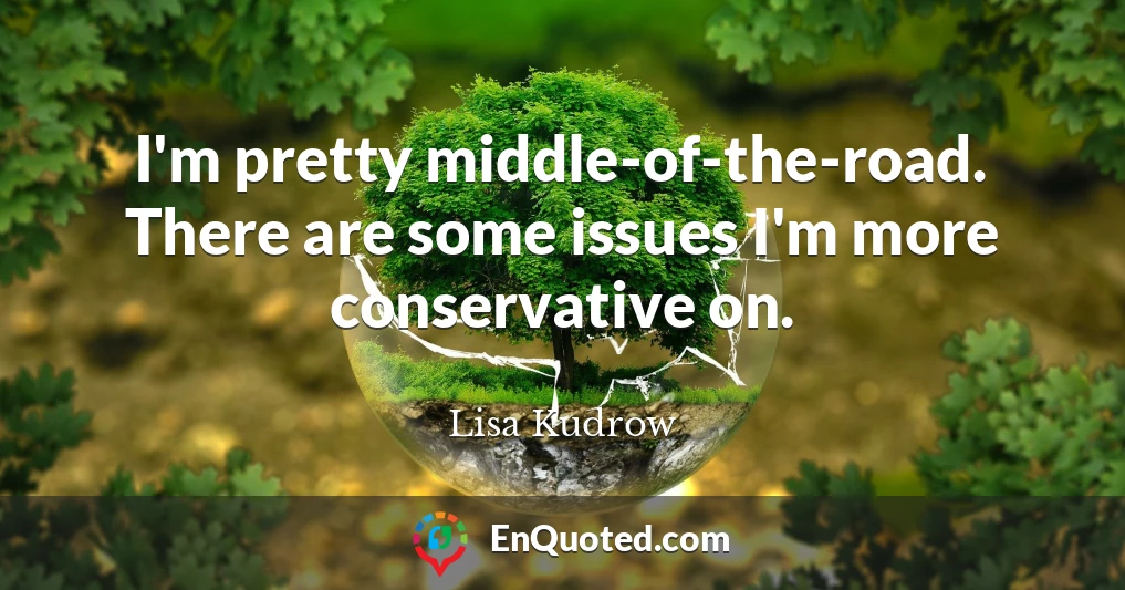 I'm pretty middle-of-the-road. There are some issues I'm more conservative on.