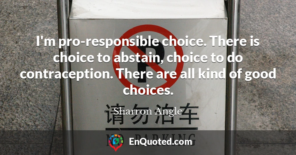 I'm pro-responsible choice. There is choice to abstain, choice to do contraception. There are all kind of good choices.