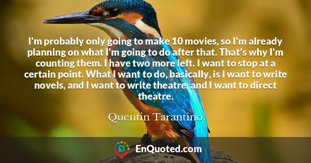 I'm probably only going to make 10 movies, so I'm already planning on what I'm going to do after that. That's why I'm counting them. I have two more left. I want to stop at a certain point. What I want to do, basically, is I want to write novels, and I want to write theatre, and I want to direct theatre.