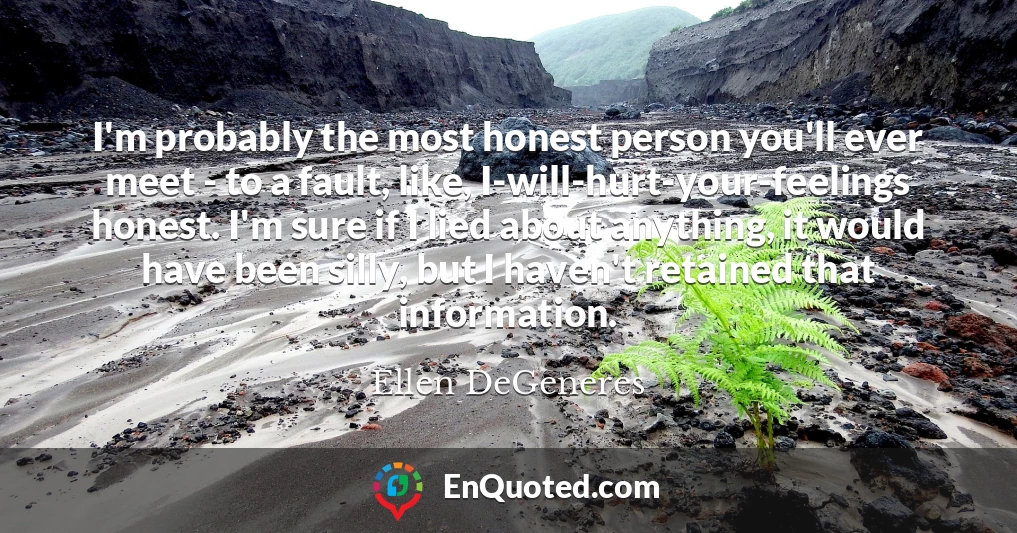 I'm probably the most honest person you'll ever meet - to a fault, like, I-will-hurt-your-feelings honest. I'm sure if I lied about anything, it would have been silly, but I haven't retained that information.