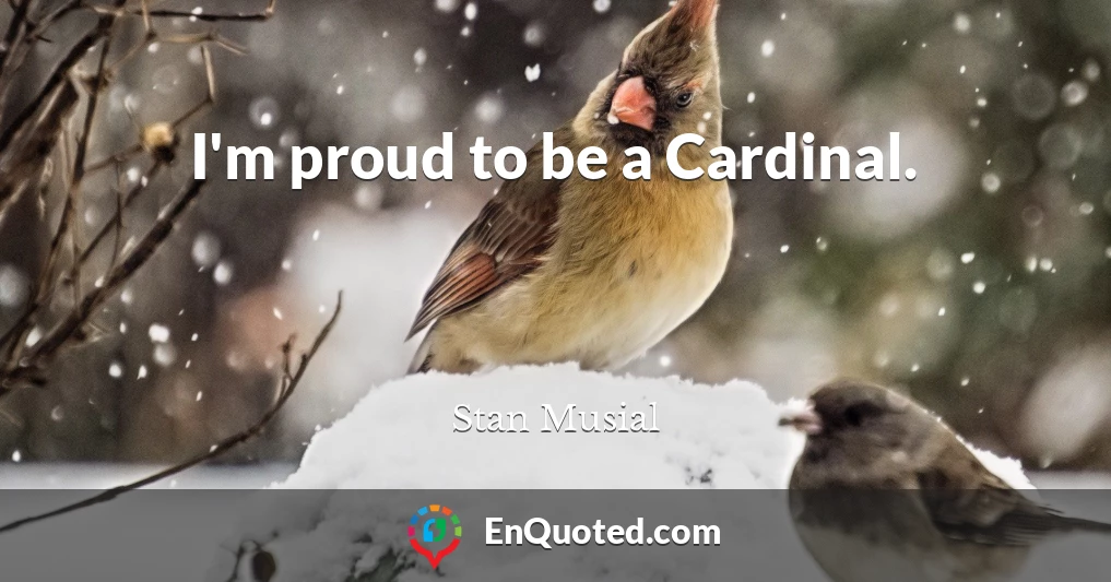 I'm proud to be a Cardinal.