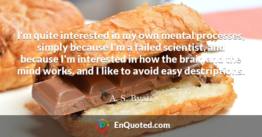 I'm quite interested in my own mental processes, simply because I'm a failed scientist, and because I'm interested in how the brain and the mind works, and I like to avoid easy descriptions.