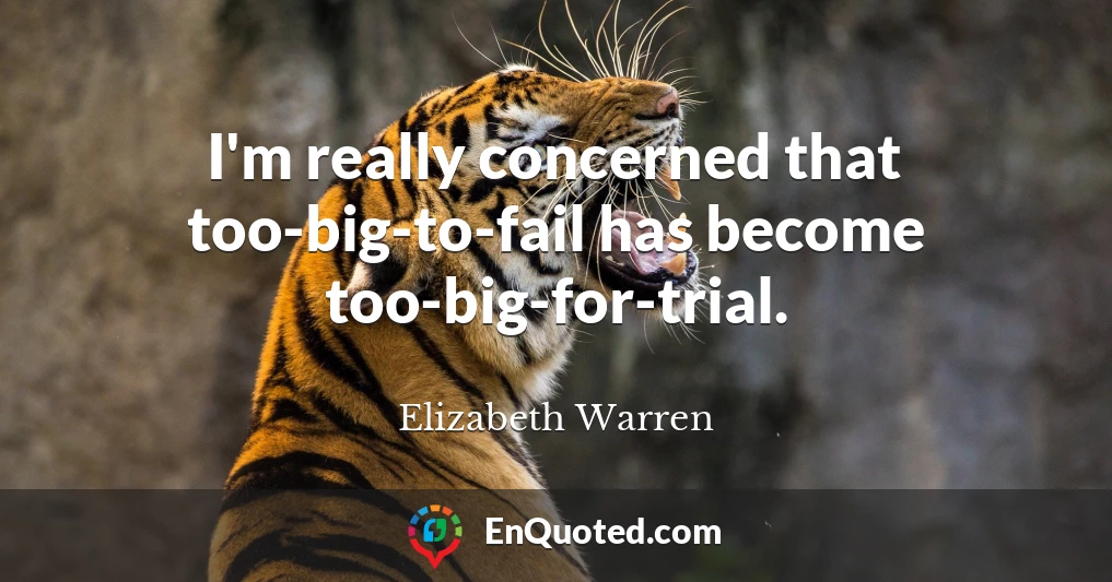 I'm really concerned that too-big-to-fail has become too-big-for-trial.