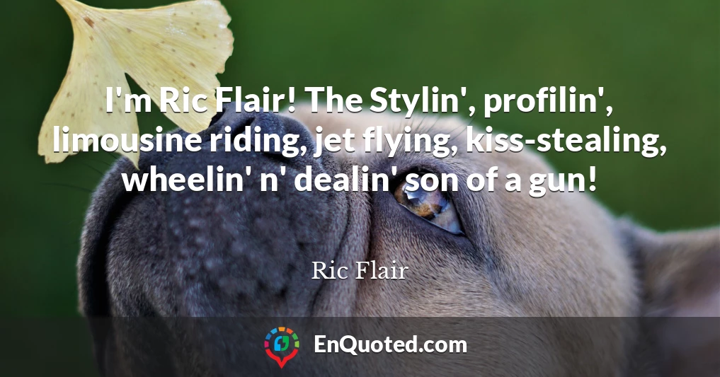 I'm Ric Flair! The Stylin', profilin', limousine riding, jet flying, kiss-stealing, wheelin' n' dealin' son of a gun!