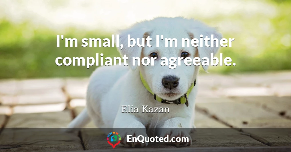 I'm small, but I'm neither compliant nor agreeable.