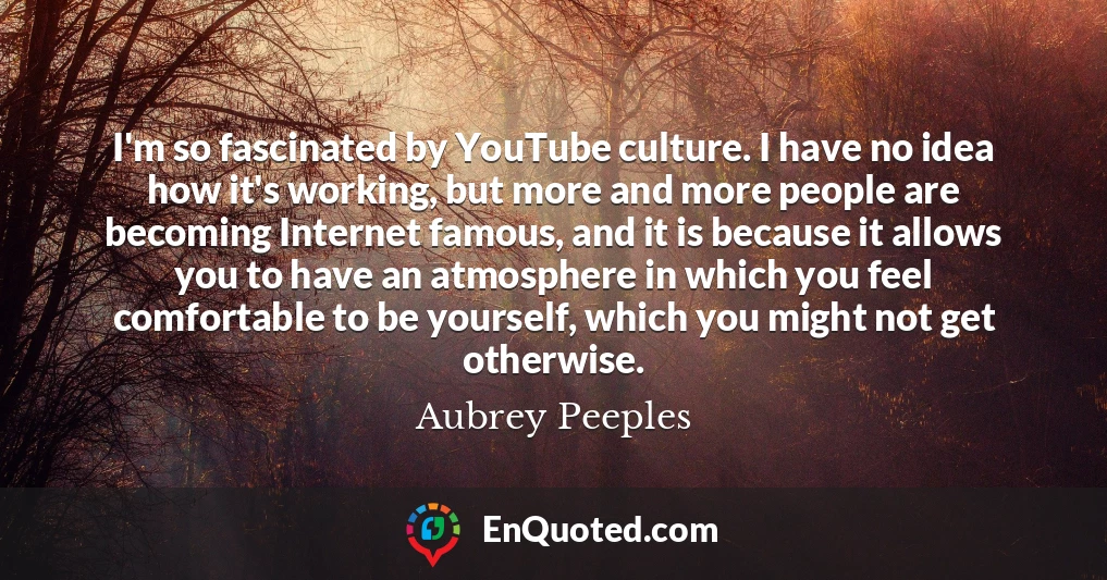 I'm so fascinated by YouTube culture. I have no idea how it's working, but more and more people are becoming Internet famous, and it is because it allows you to have an atmosphere in which you feel comfortable to be yourself, which you might not get otherwise.