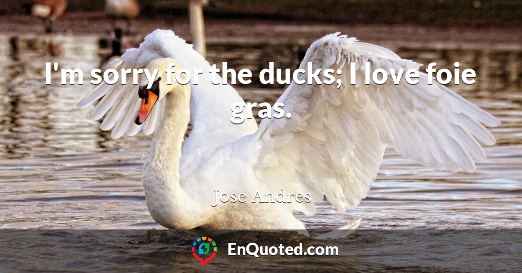 I'm sorry for the ducks; I love foie gras.