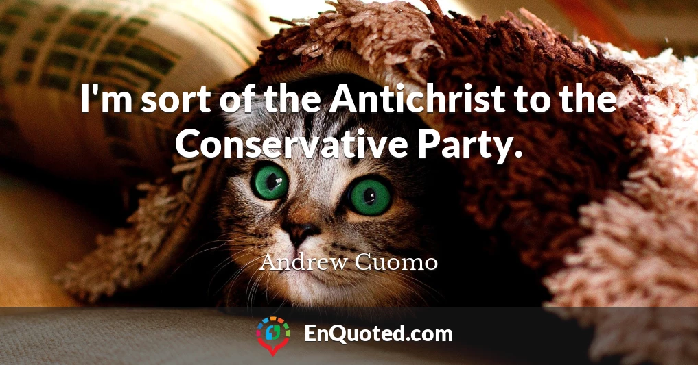 I'm sort of the Antichrist to the Conservative Party.