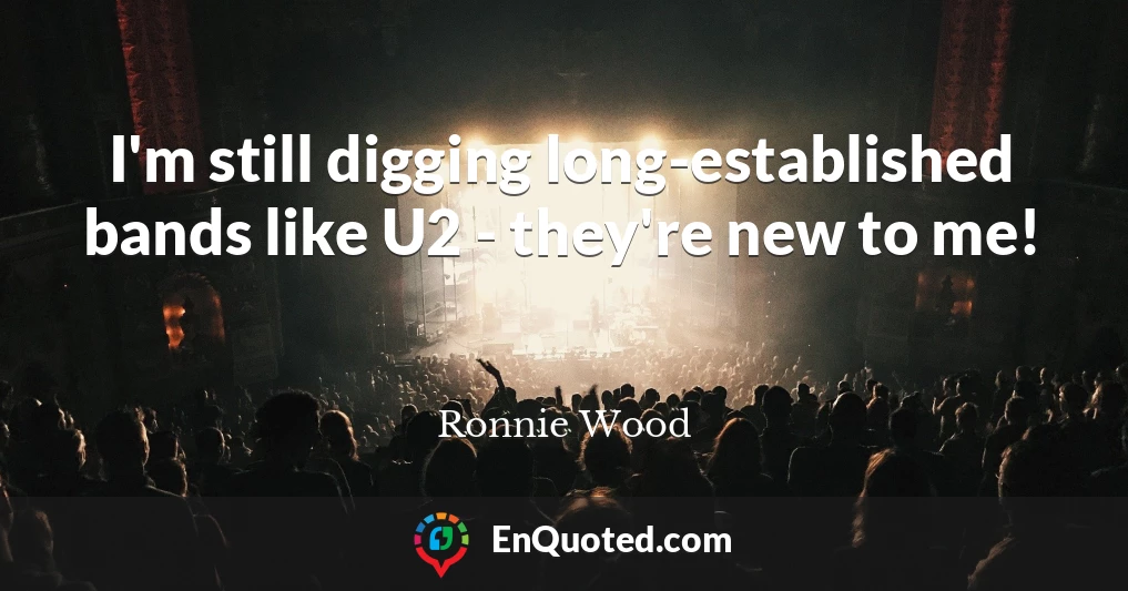 I'm still digging long-established bands like U2 - they're new to me!
