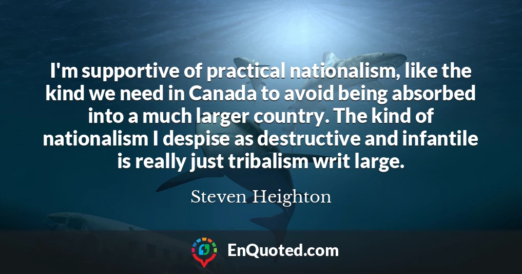 I'm supportive of practical nationalism, like the kind we need in Canada to avoid being absorbed into a much larger country. The kind of nationalism I despise as destructive and infantile is really just tribalism writ large.