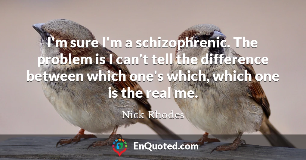I'm sure I'm a schizophrenic. The problem is I can't tell the difference between which one's which, which one is the real me.