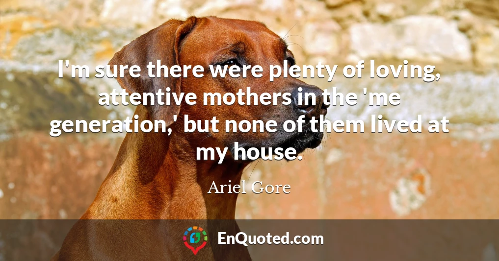 I'm sure there were plenty of loving, attentive mothers in the 'me generation,' but none of them lived at my house.