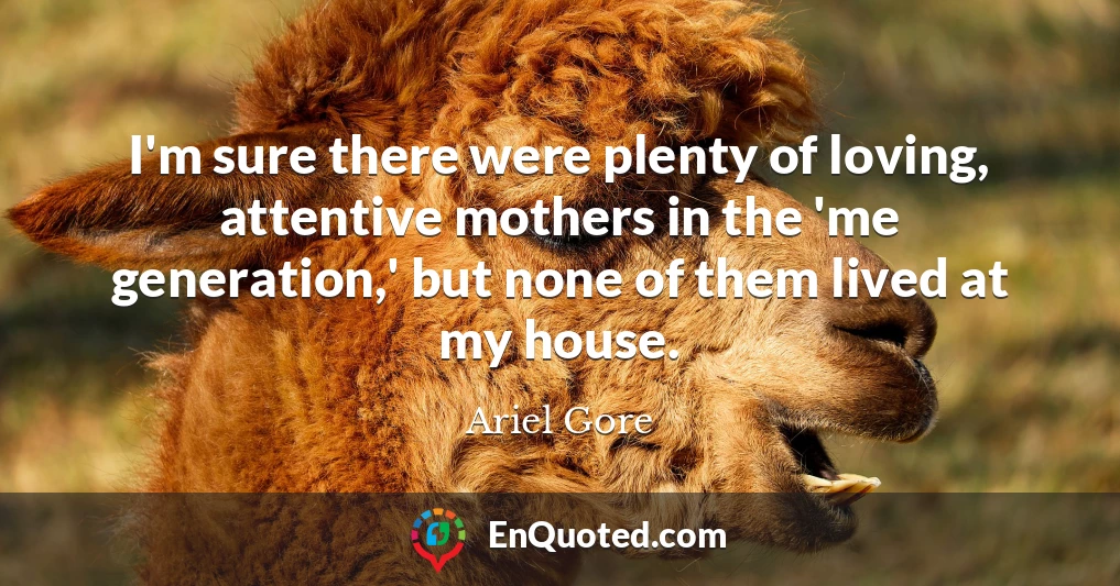 I'm sure there were plenty of loving, attentive mothers in the 'me generation,' but none of them lived at my house.