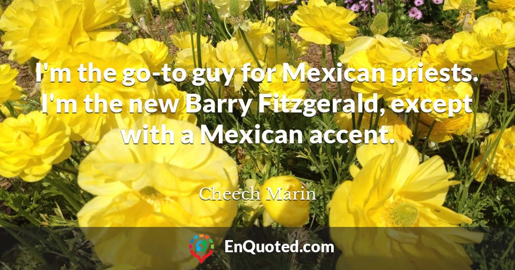 I'm the go-to guy for Mexican priests. I'm the new Barry Fitzgerald, except with a Mexican accent.