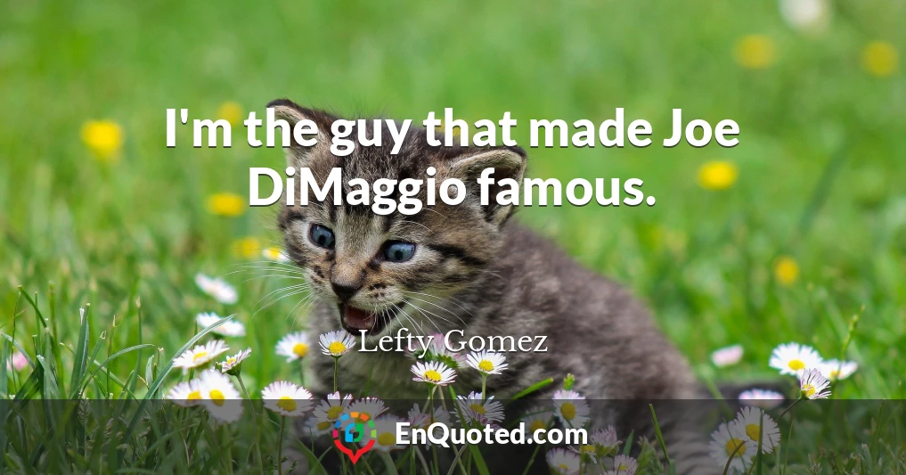 I'm the guy that made Joe DiMaggio famous.
