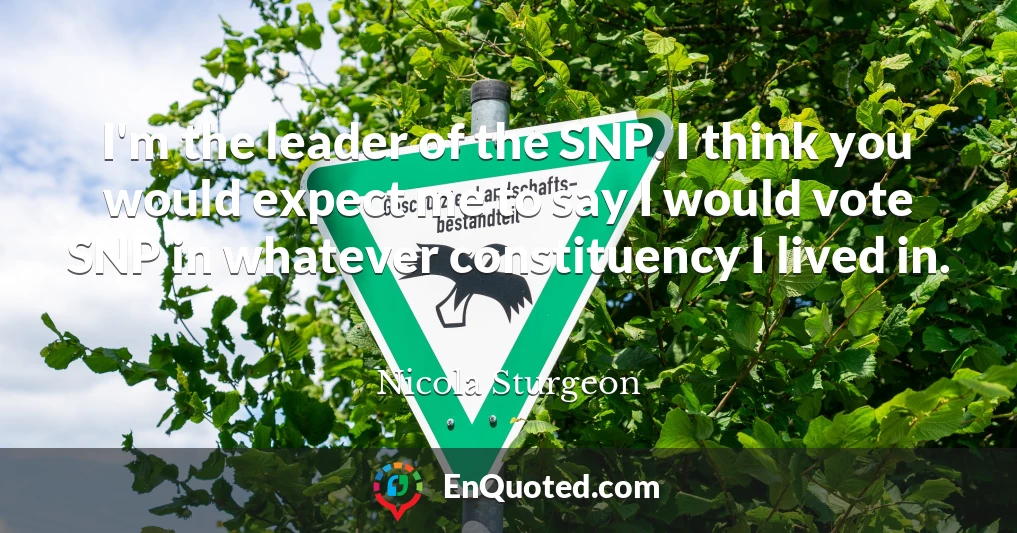 I'm the leader of the SNP. I think you would expect me to say I would vote SNP in whatever constituency I lived in.