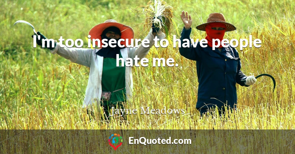 I'm too insecure to have people hate me.