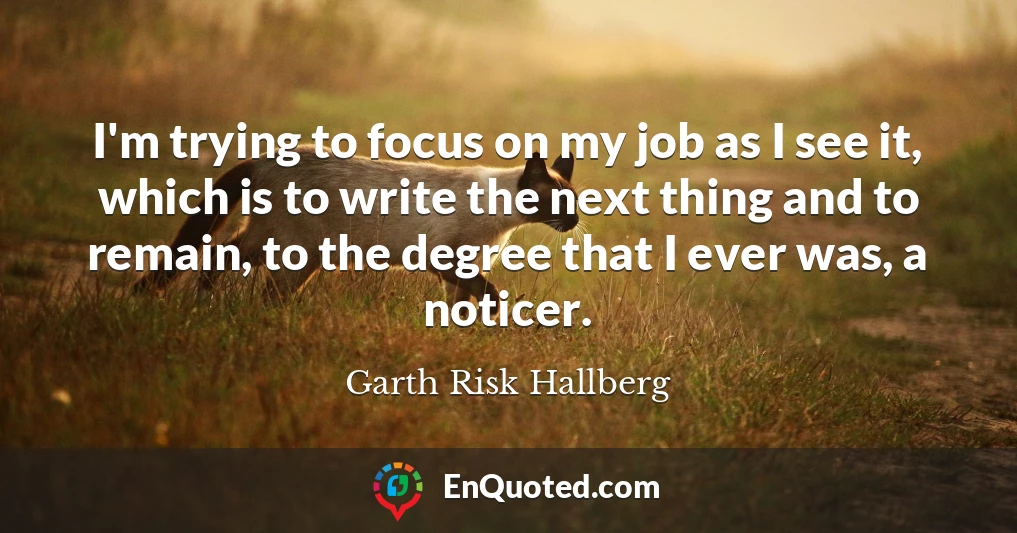 I'm trying to focus on my job as I see it, which is to write the next thing and to remain, to the degree that I ever was, a noticer.