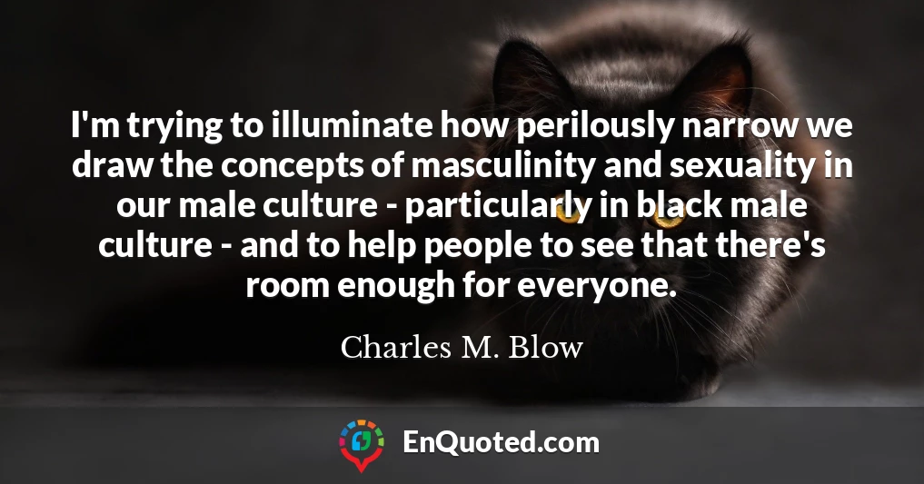 I'm trying to illuminate how perilously narrow we draw the concepts of masculinity and sexuality in our male culture - particularly in black male culture - and to help people to see that there's room enough for everyone.