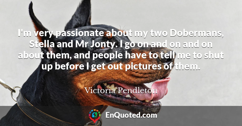 I'm very passionate about my two Dobermans, Stella and Mr Jonty. I go on and on and on about them, and people have to tell me to shut up before I get out pictures of them.