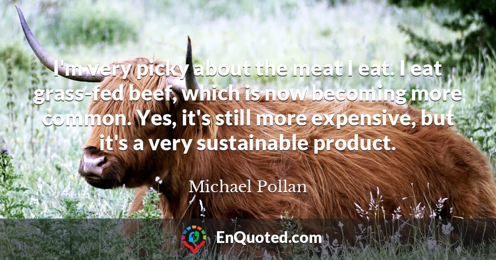 I'm very picky about the meat I eat. I eat grass-fed beef, which is now becoming more common. Yes, it's still more expensive, but it's a very sustainable product.