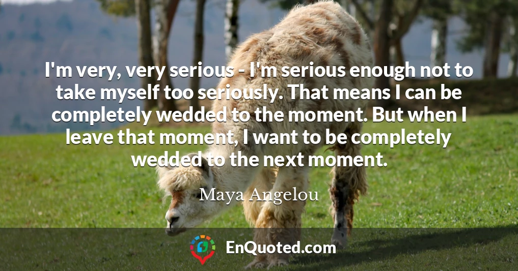 I'm very, very serious - I'm serious enough not to take myself too seriously. That means I can be completely wedded to the moment. But when I leave that moment, I want to be completely wedded to the next moment.