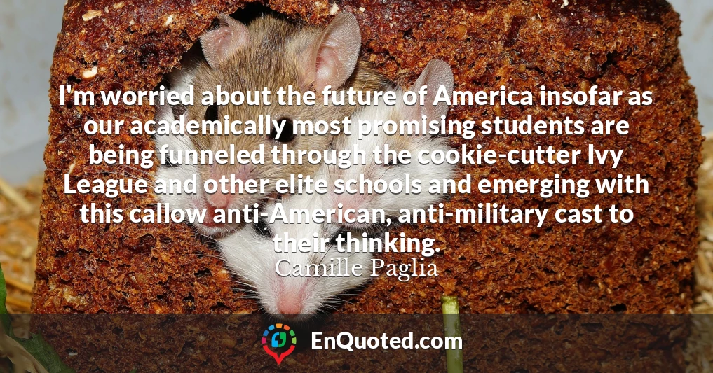 I'm worried about the future of America insofar as our academically most promising students are being funneled through the cookie-cutter Ivy League and other elite schools and emerging with this callow anti-American, anti-military cast to their thinking.