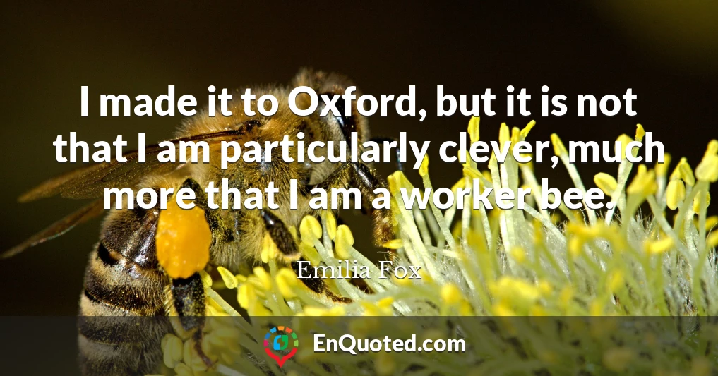I made it to Oxford, but it is not that I am particularly clever, much more that I am a worker bee.