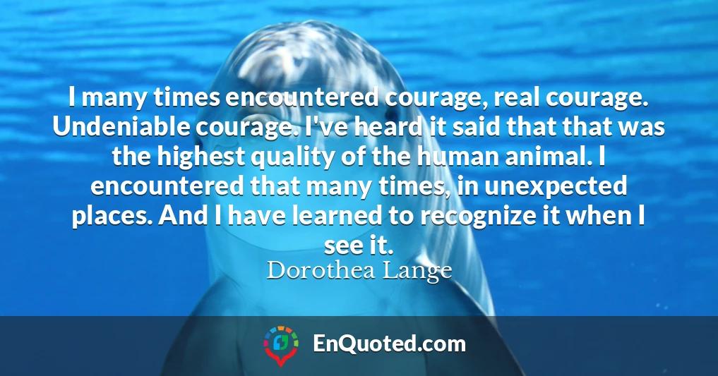 I many times encountered courage, real courage. Undeniable courage. I've heard it said that that was the highest quality of the human animal. I encountered that many times, in unexpected places. And I have learned to recognize it when I see it.