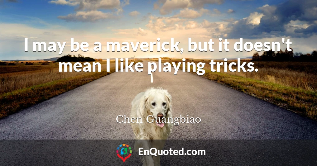 I may be a maverick, but it doesn't mean I like playing tricks.