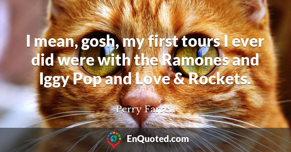 I mean, gosh, my first tours I ever did were with the Ramones and Iggy Pop and Love & Rockets.