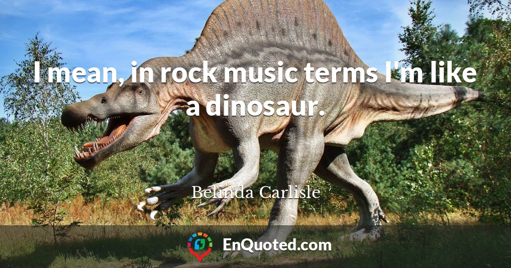 I mean, in rock music terms I'm like a dinosaur.