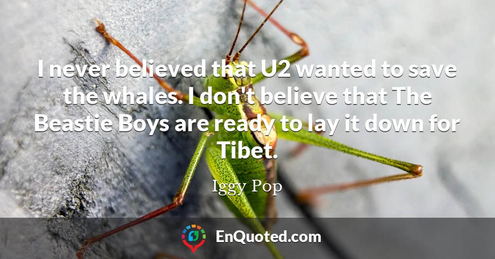 I never believed that U2 wanted to save the whales. I don't believe that The Beastie Boys are ready to lay it down for Tibet.