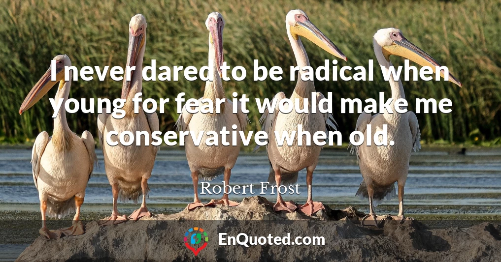 I never dared to be radical when young for fear it would make me conservative when old.
